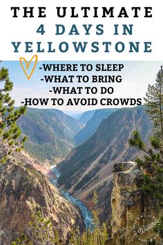 the ultimate 4 days in yellowstone where to sleep what to do how to avoid crowds