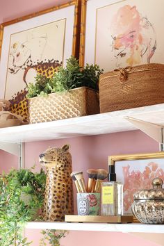 some shelves with plants and pictures on them