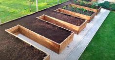 a row of wooden planters filled with dirt next to a lush green park area