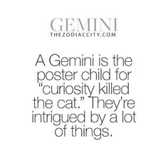 a quote that says, a germini is the poster child for curiosity killed the cat they're intrigated by a lot of things