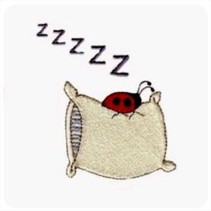 a ladybug sleeping on top of a pillow with the caption, izzzz