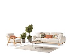 a living room filled with furniture and a potted plant on top of a rug