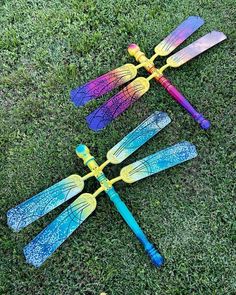 four colorful dragonflys laying on the grass