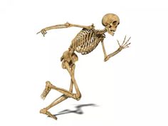 a skeleton is running in the air