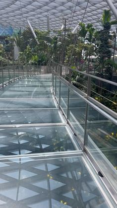 an empty walkway in the middle of a building with lots of plants growing on it