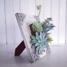 succulents and other plants are placed in an old frame on the floor