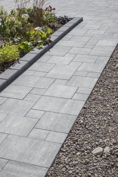 a brick walkway is lined with plants and rocks