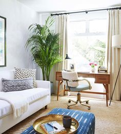 a living room filled with furniture and a potted plant in front of a window