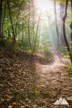 the sun shines through the trees and leaves on a trail in the woods,