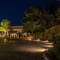 an outdoor area lit up at night with trees and bushes in the foreground, surrounded by cobblestones