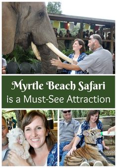 a collage of photos with people and an elephant in the background that says, myrte beach safari is a must - see attraction