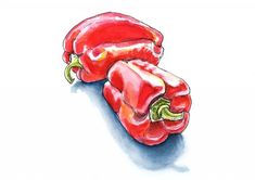 two red peppers on a white background