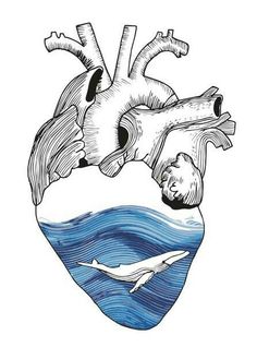 a drawing of a whale and heart floating in the ocean