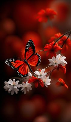 two butterflies flying over some white and red flowers