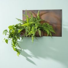 a green plant is growing out of a brown metal wall mounted potted planter