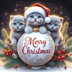 three kittens sitting on top of a christmas ornament with the words merry christmas