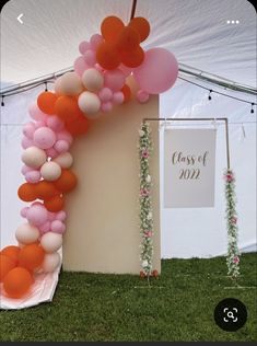 an arch made out of balloons on the grass