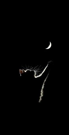 a black cat with the moon in the background