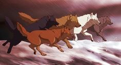 four different colored dogs running in the snow under an overcast sky with rain coming down on them