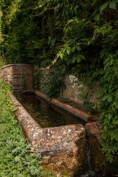 an old brick water trough surrounded by greenery