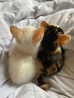 two small stuffed animals laying on top of a bed