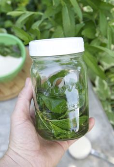 a person holding up a mason jar filled with green leaves