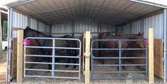 two horses are standing in their stalls