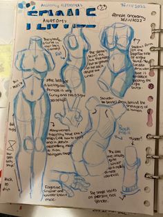 an open notebook with sketches of female torsos