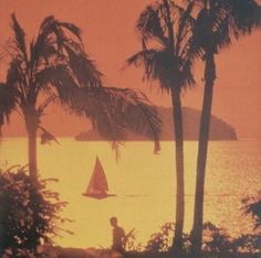 a sailboat is in the water near palm trees and an orange sky at sunset