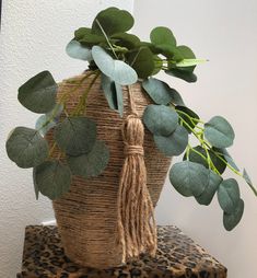 a potted plant sitting on top of a leopard print table