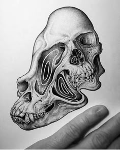 a drawing of a human skull in black and white