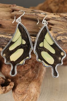 Stelenes Butterfly Dangle Earrings Approx. Dimensions: 1.8x1 inches Species: Stelenes Each piece of butterfly jewelry is handcrafted in Peru from real butterfly wings that are ethically and responsibly sourced. The butterflies live out their lifespan in a butterfly farm that allows them to live and breed in their natural ecosystem. After the butterflies pass, their wings are harvested and turned into stunning pieces of jewelry. Each piece is made with .950 Sterling Silver and is water-resistant. Butterfly Charm Wing-shaped Earrings For Gift, Butterfly Charm Earrings As Gift, Nature-inspired Sterling Silver Butterfly Jewelry, Bohemian Butterfly Jewelry With Pierced Design, Green Butterfly Nature-inspired Jewelry, Nature-inspired Green Butterfly Jewelry, Butterfly Earrings For Jewelry Making, Unique Handmade Butterfly Earrings, Unique Green Butterfly Earrings