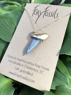 rare large mako shark tooth fossil pendant necklace gold dipped-ethically sourced-side view-Foxy Fossils Dainty Shark Tooth Necklace Smile The Ocean, Sharks Teeth, Shark Tooth Pendant, Mako Shark, Tooth Pendant, Sea Necklace, Shark Earrings, Shark Tooth Necklace, Fossil Teeth