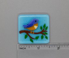 a blue bird sitting on top of a tree branch next to a tape measure ruler