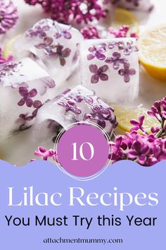 purple flowers and ice cubes with the words 10 lilac recipes you must try this year