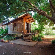 a small wooden cabin sitting under a tree