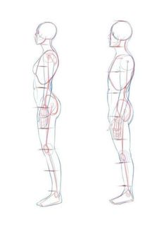 the human figure is shown in three different positions, including the back and side view