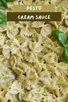 pasta with pesto cream sauce and basil leaves