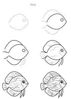 how to draw different types of fish