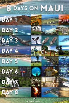 a poster with the words 8 days on mau in different languages and pictures from around the world