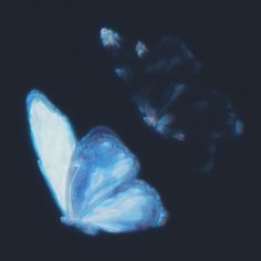 a blue butterfly is flying in the dark