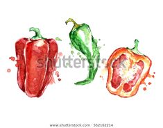 three peppers painted with watercolors on white paper, each pepper has a different color