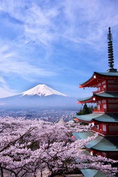 the view of mount fuji in the distance with cherry blossoms blooming all around it