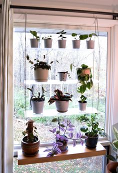 a window sill filled with lots of potted plants