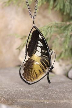 Butterfly wings necklace real Butterfly Black wings butterfly | Etsy Black And White Butterfly, Wings Butterfly, Butterfly Nature, Summer Beach Jewelry, Real Butterfly Wings, Wings Necklace, Real Butterfly, Nature Necklace, Black Wings