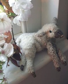 a stuffed lamb sitting on top of a window sill next to some white flowers