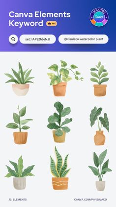 a bunch of potted plants on top of each other in different shapes and sizes