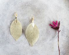 These dainty earrings are made from real leaves dipped in 18k gold. These earrings are lightweight and very elegant. You can also choose the sterling silver leaves earrings. Each leaf is unique, therefore, please expect a small variety from the leaves on the photographs. The leaves earrings are around 2.5-3 inches long. (6.5 - 7,7 cm) -----------------------------  WRAPPING 🎁 All Little Beetle jewels come in a cute pouch and a box so they are gift-ready! If you place an order with several items Minimalist Gold Leaf Earrings, Gold Leaf-shaped Nature-inspired Earrings, Nature-inspired Gold Leaf Earrings, Gold Leaf Nature-inspired Earrings, Nature-inspired Gold Leaf-shaped Earrings, Silver Leaf Earrings, Woodland Earrings, Leaves Earrings, Boho Leaves