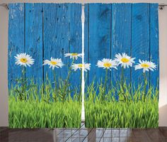 some daisies are growing in the grass by a wooden fence with blue paint on it