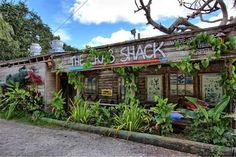 an old shack with plants growing on the front and side windows that say, alien shack